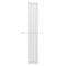 Arbiola Iris 42 H 1750-42-06 секции белый вертикальный радиатор c боковым подключением