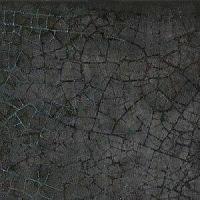 Iris Maiolica Nero 20x20 см Настенная плитка